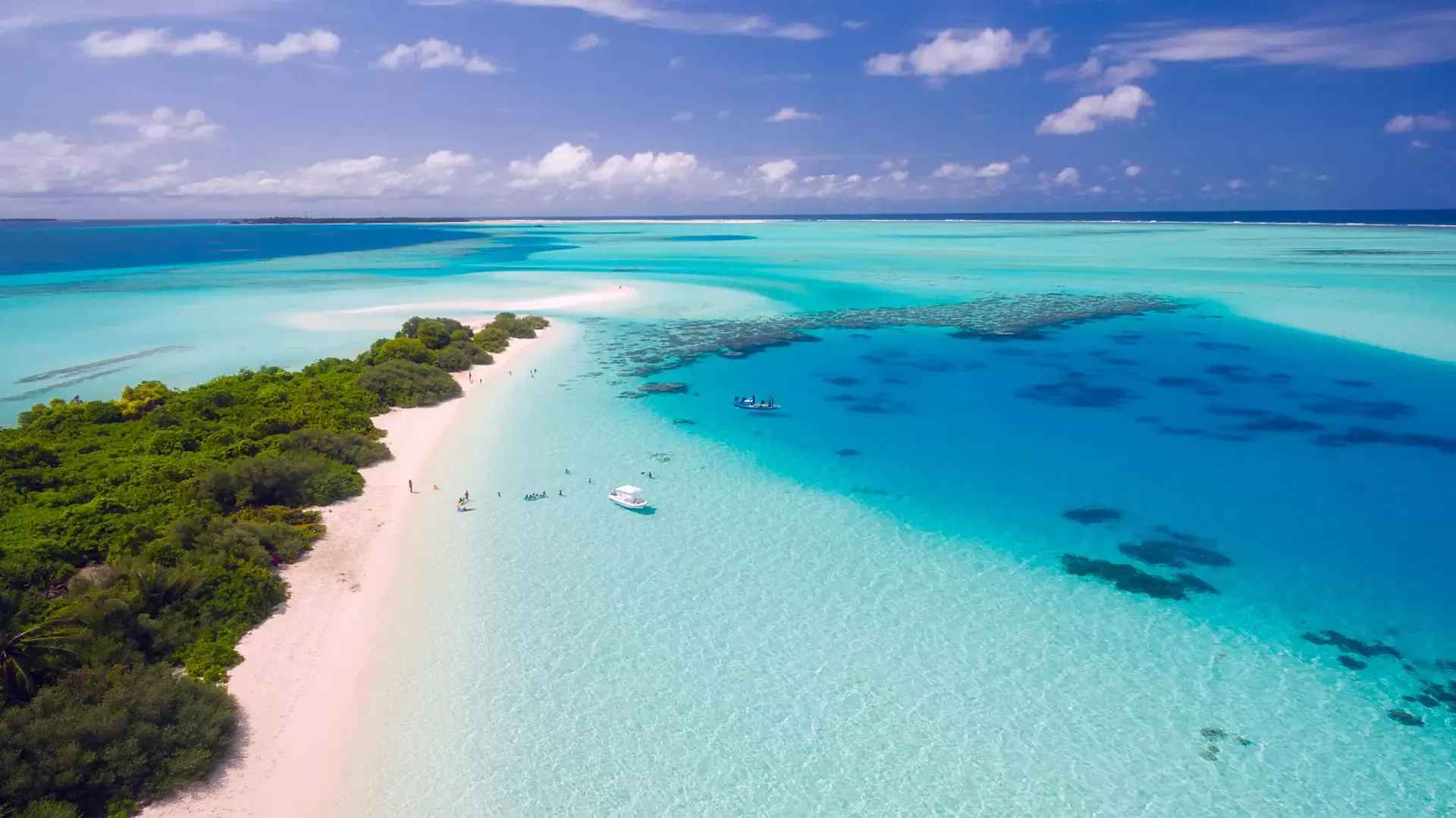 Egzotyczna plaża